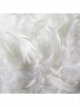 Goose Feather & Down Square Pillow, Medium